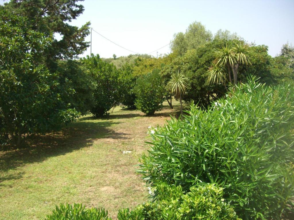 Jaddhu Agriturismo Country Resort Arzachena Exterior photo